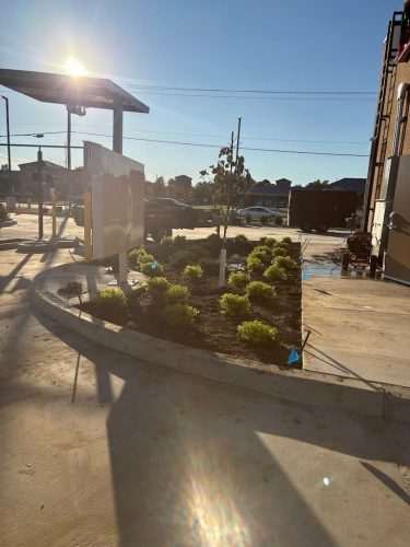 Tree-Planting-Tulsa-013