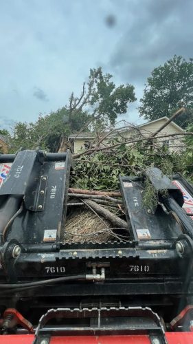 Tree-Planting-Tulsa-Living-Tree-1