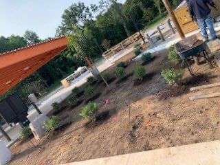 Tulsa-Tree-Planting-004