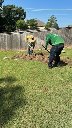 Tulsa-Tree-Planting-Tree-023