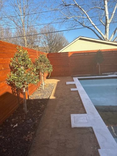 Tulsa-Tree-Removal-2-23-26-Tree-026
