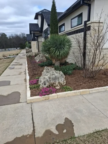 Tulsa-Tree-Removal-3-19-26-Tree-029