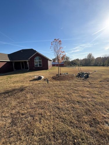 tulsa-tree-planting-1-29-26-Tree-022